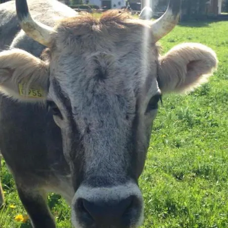 Rothenbach By Interhome *