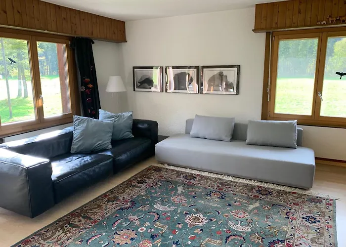 Rothenbach By Interhome * Lenk