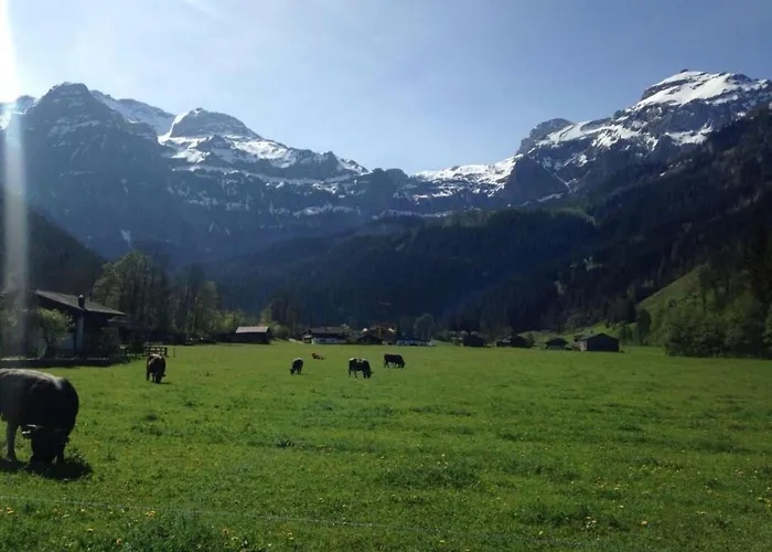 Rothenbach By Interhome Lenk